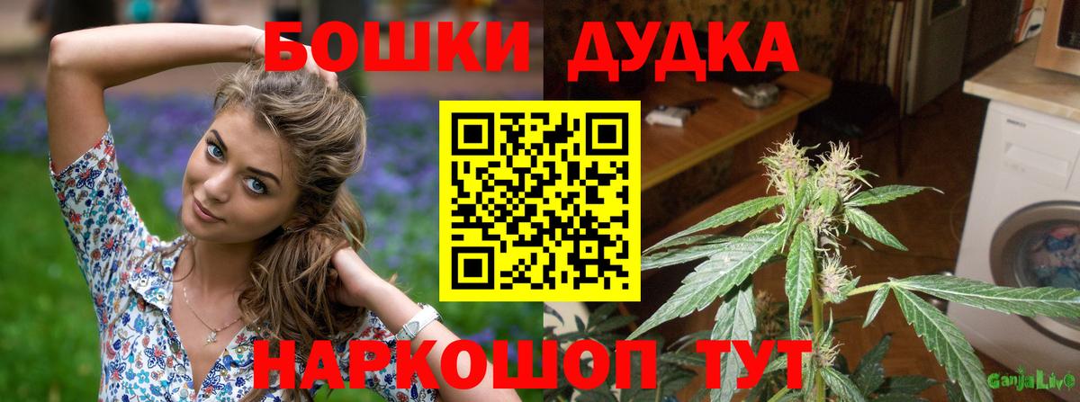МАРИХУАНА план Коркино