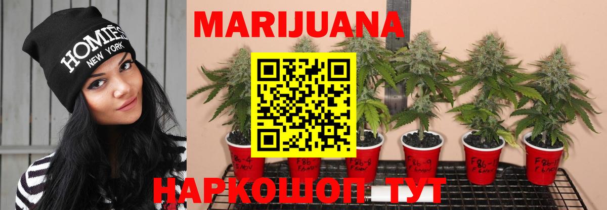Канабис конопля  Бошки марихуана Amnesia  МАРИХУАНА Bruce Banner  Вход с VPN  Бошки марихуана Amnesia  Коркино 